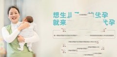 想要好孕，男性精子达标了吗